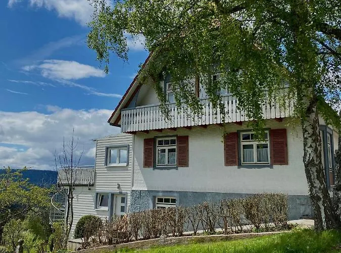 Ferienhaus Mit 5* Luxus Im Schwarzwald
