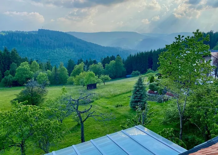 Ferienhaus Mit 5* Luxus Im Schwarzwald