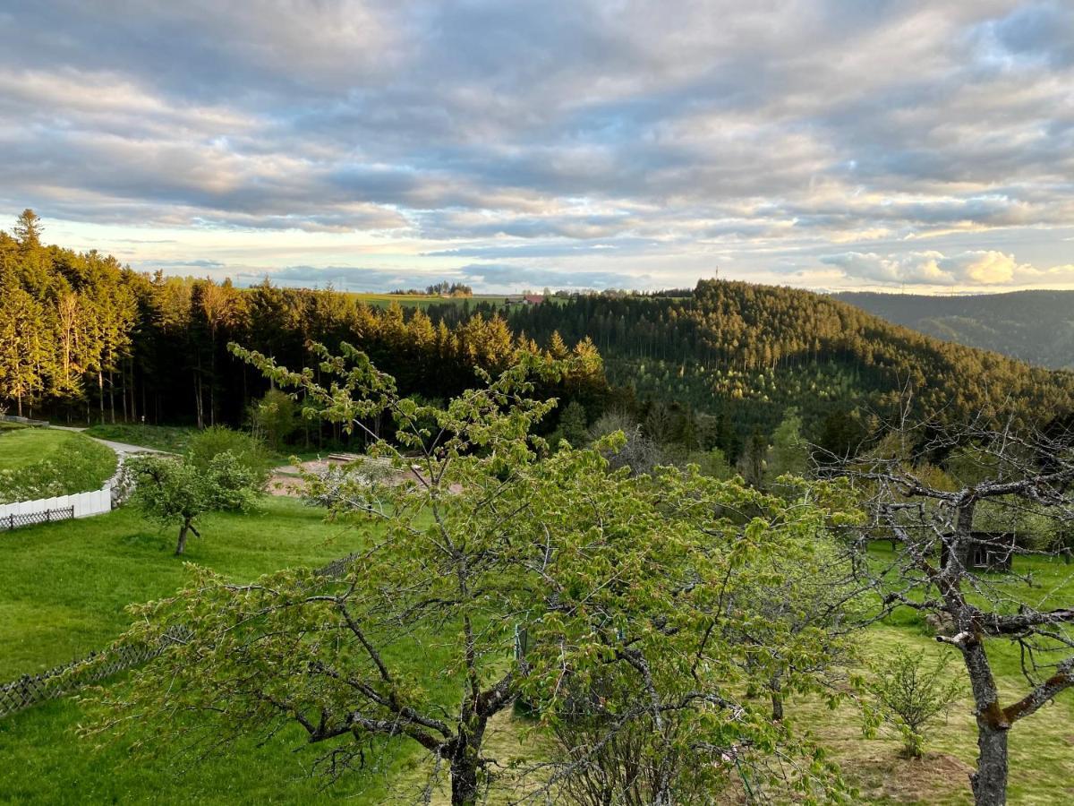 Holiday home Mit 5* Luxus Im Schwarzwald Aichhalden